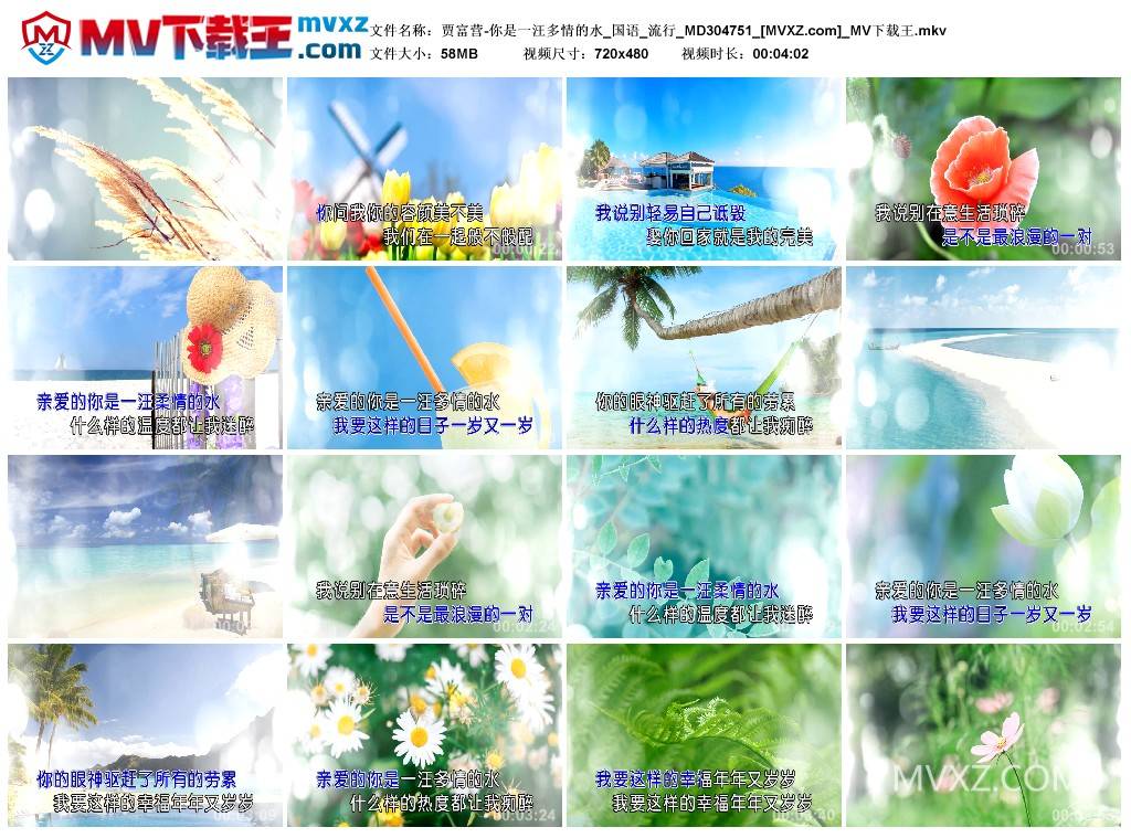 贾富营-你是一汪多情的水_国语_流行_MD304751